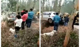 石塘镇最新爆料消息,揭秘神秘事件背后的真相