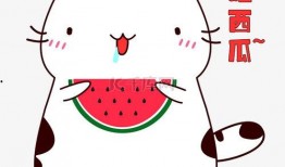 咔咔吃瓜表情包下载免费,免费下载，轻松逗乐你的朋友圈