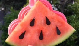 吃瓜知名 网红,揭秘吃瓜知名网红背后的故事